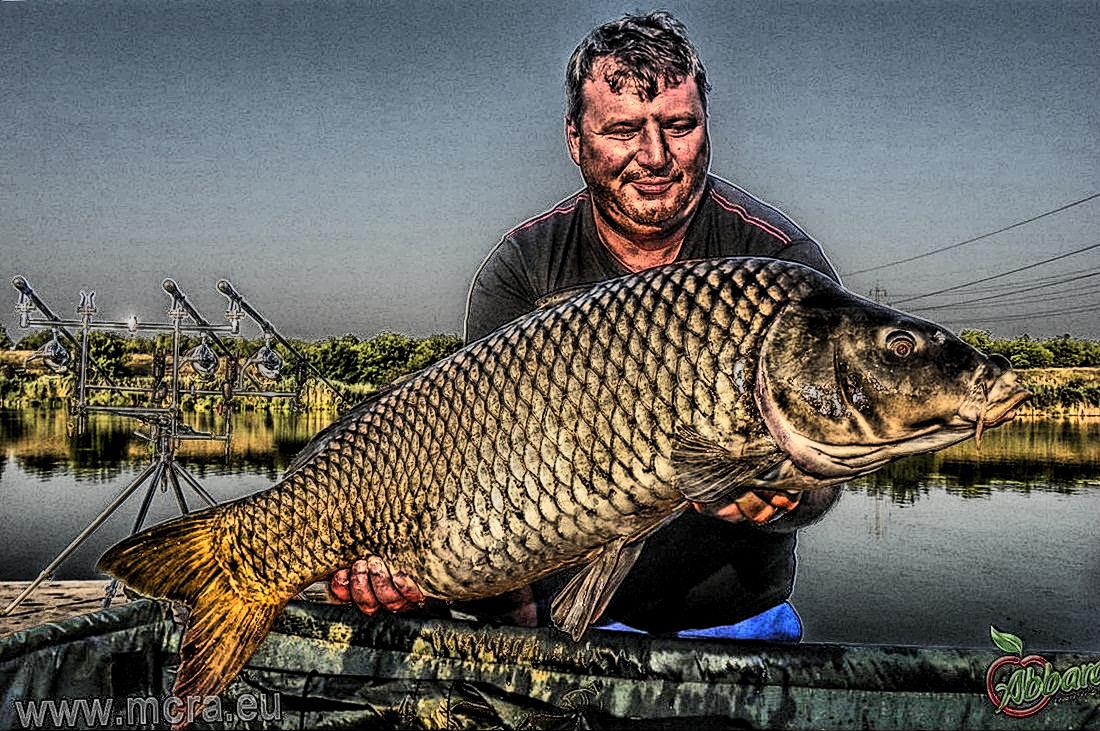 MeetCarp Romanian Awards 2013 (3) - 1017326hdrmode2-2.jpg